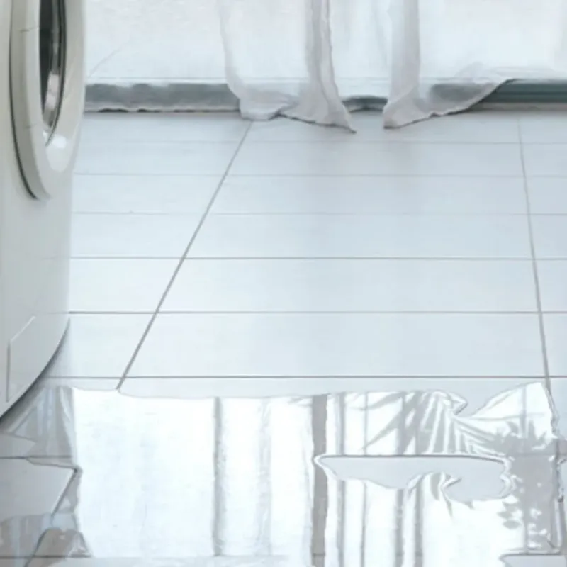 Appliance Leak Cleanup in Seal Beach, CA